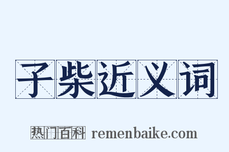子柴近义词是什么意思的图片